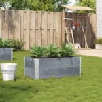 Plantenonline Plantenbak 100x50 cm massief grenenhout grijs